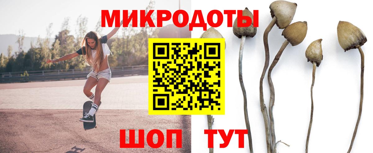 Галлюциногенные грибы Psilocybine cubensis  Вход с VPN  хочу   Десногорск  Псилоцибиновые грибы GOLDEN TEACHER 